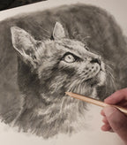 Custom Pet Portrait Graphite Pencil