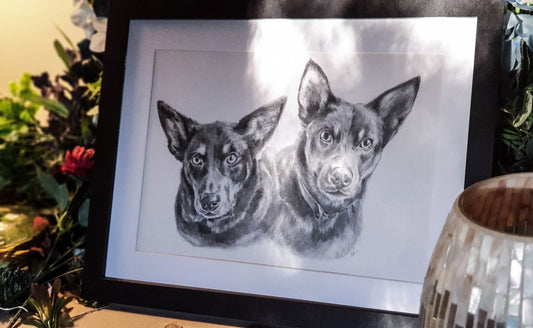 Custom Pet Portrait Graphite Pencil