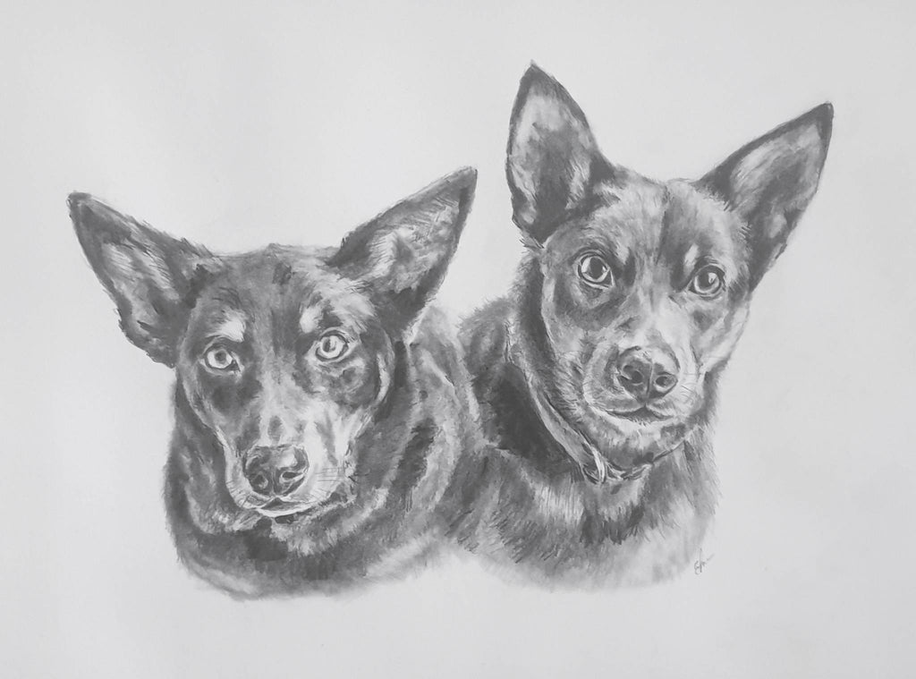 Custom Pet Portrait Graphite Pencil