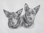 Custom Pet Portrait Graphite Pencil