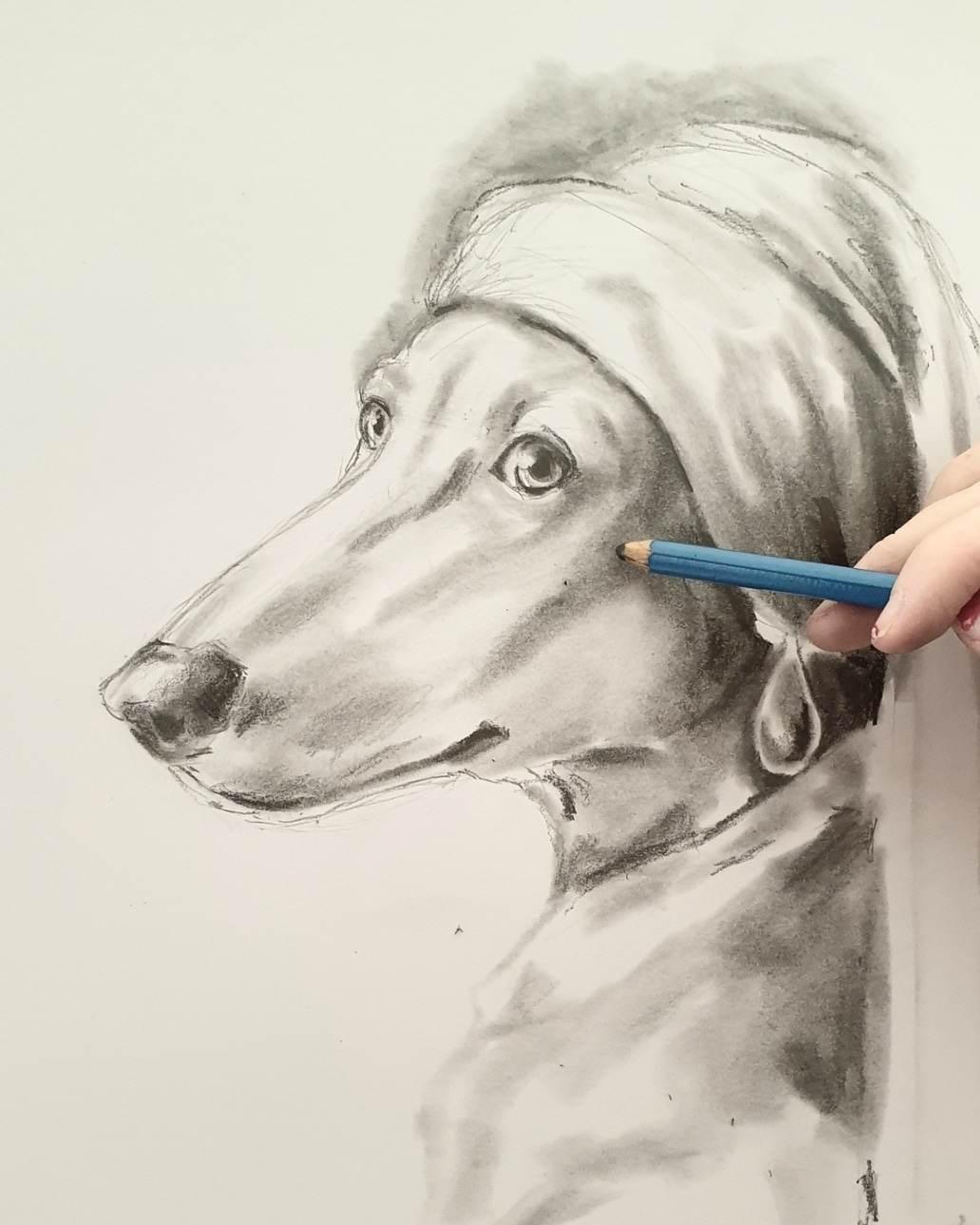 Custom Pet Portrait Graphite Pencil
