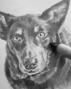 Custom Pet Portrait Graphite Pencil