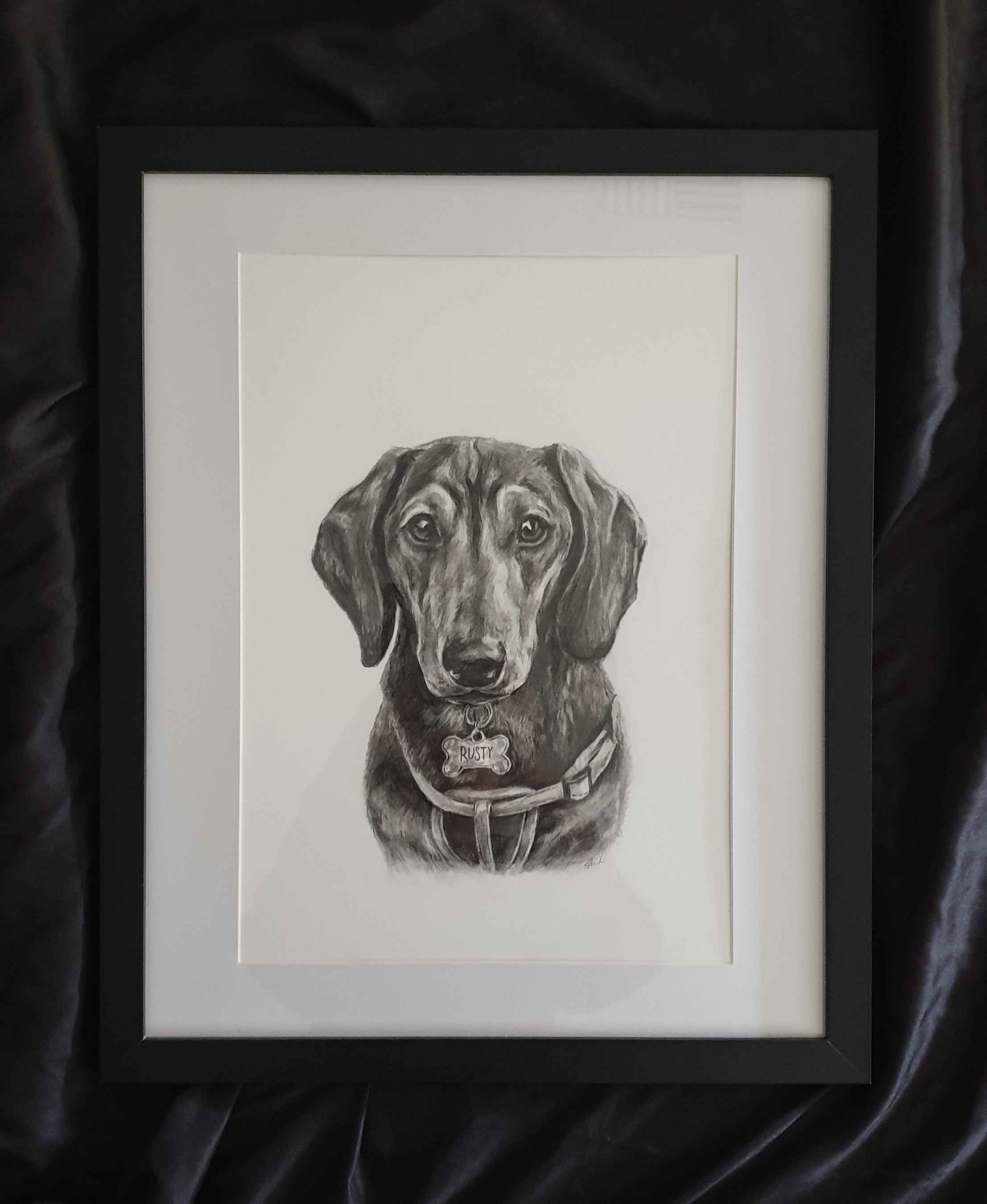 Custom Pet Portrait Graphite Pencil