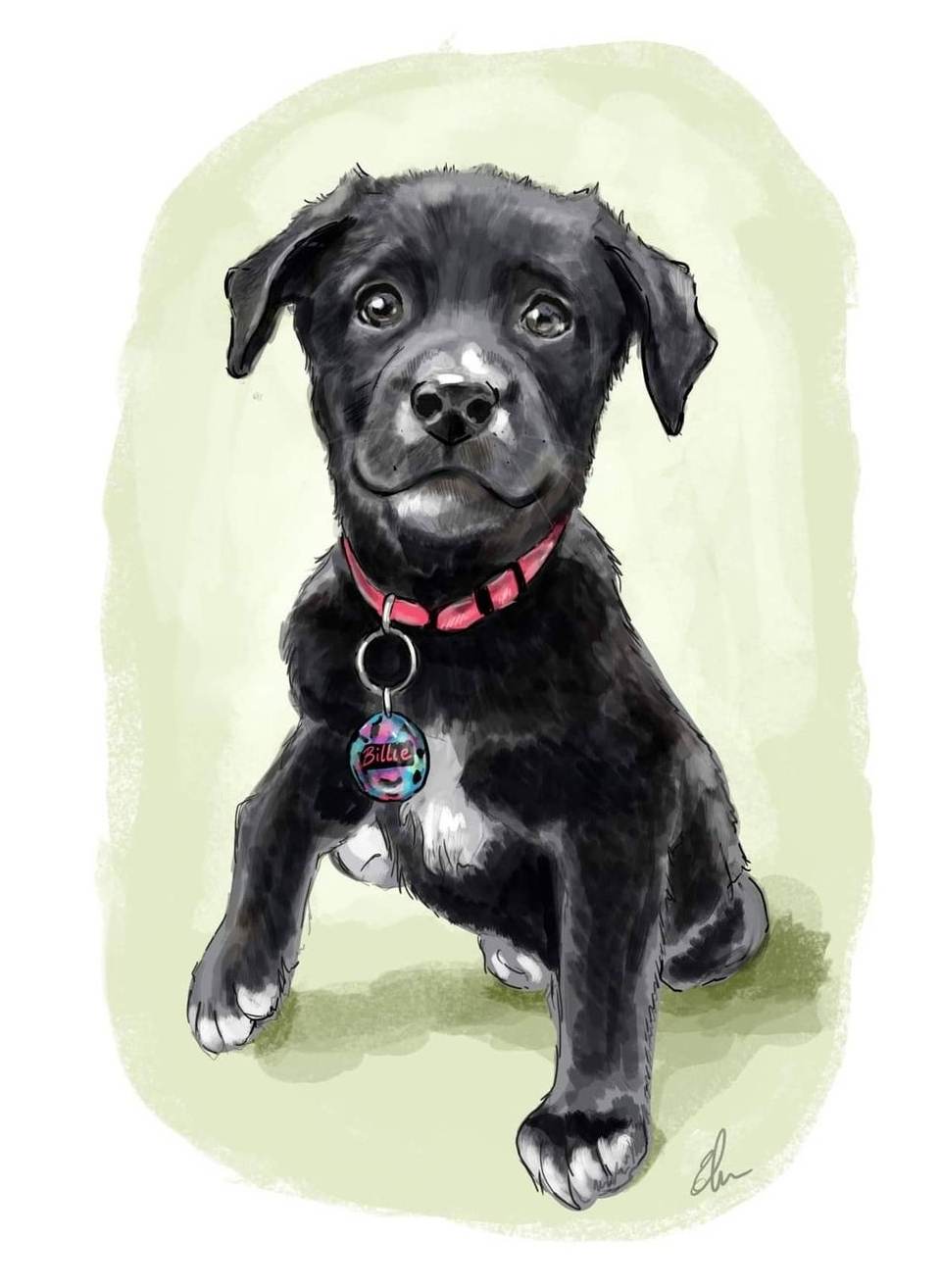 Pet Portrait - Digital Drawing and Printed