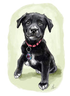 Pet Portrait - Digital Drawing and Printed