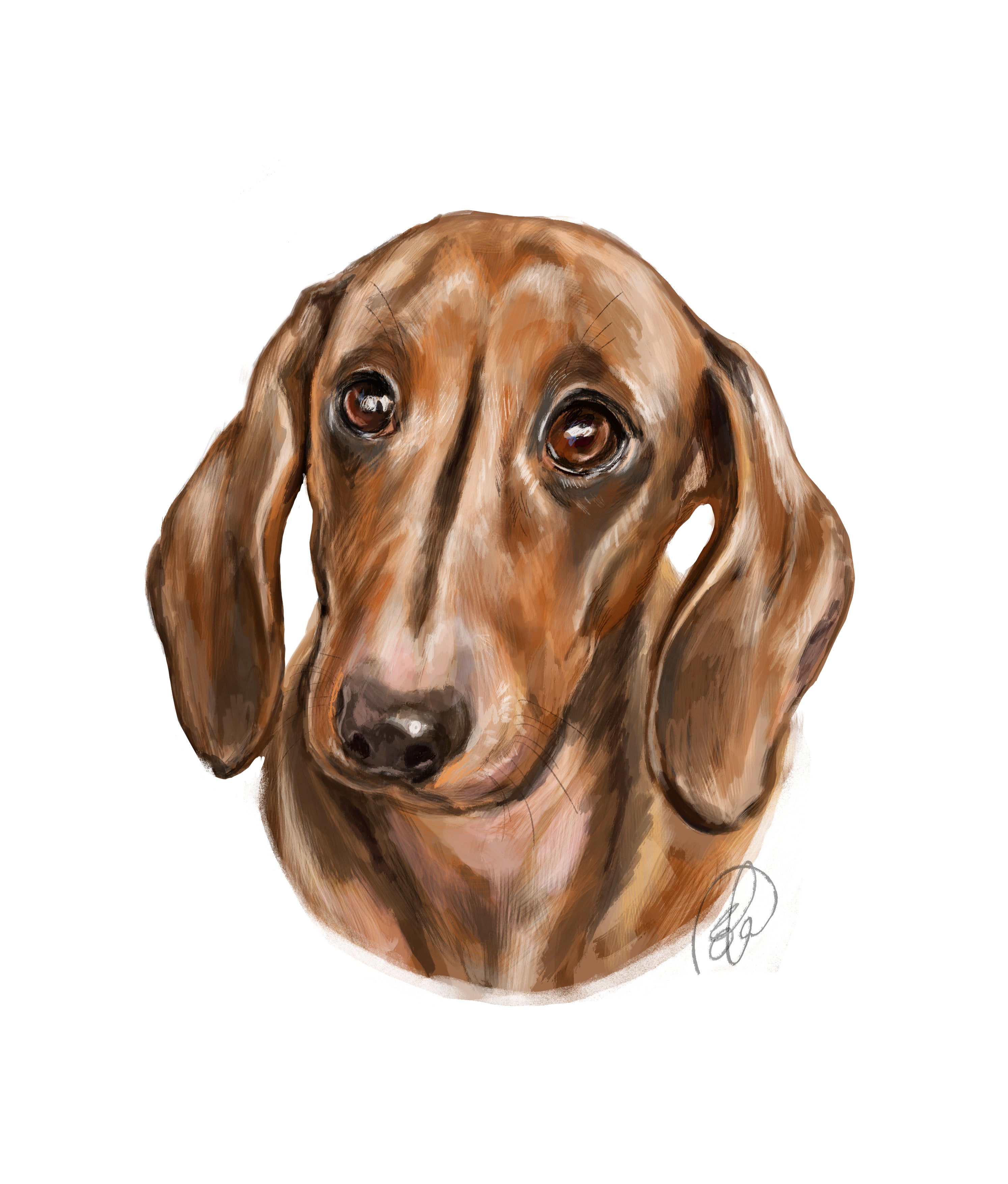 Pet Portrait - Digital Drawing and Printed