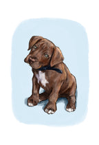 Pet Portrait - Digital Drawing and Printed