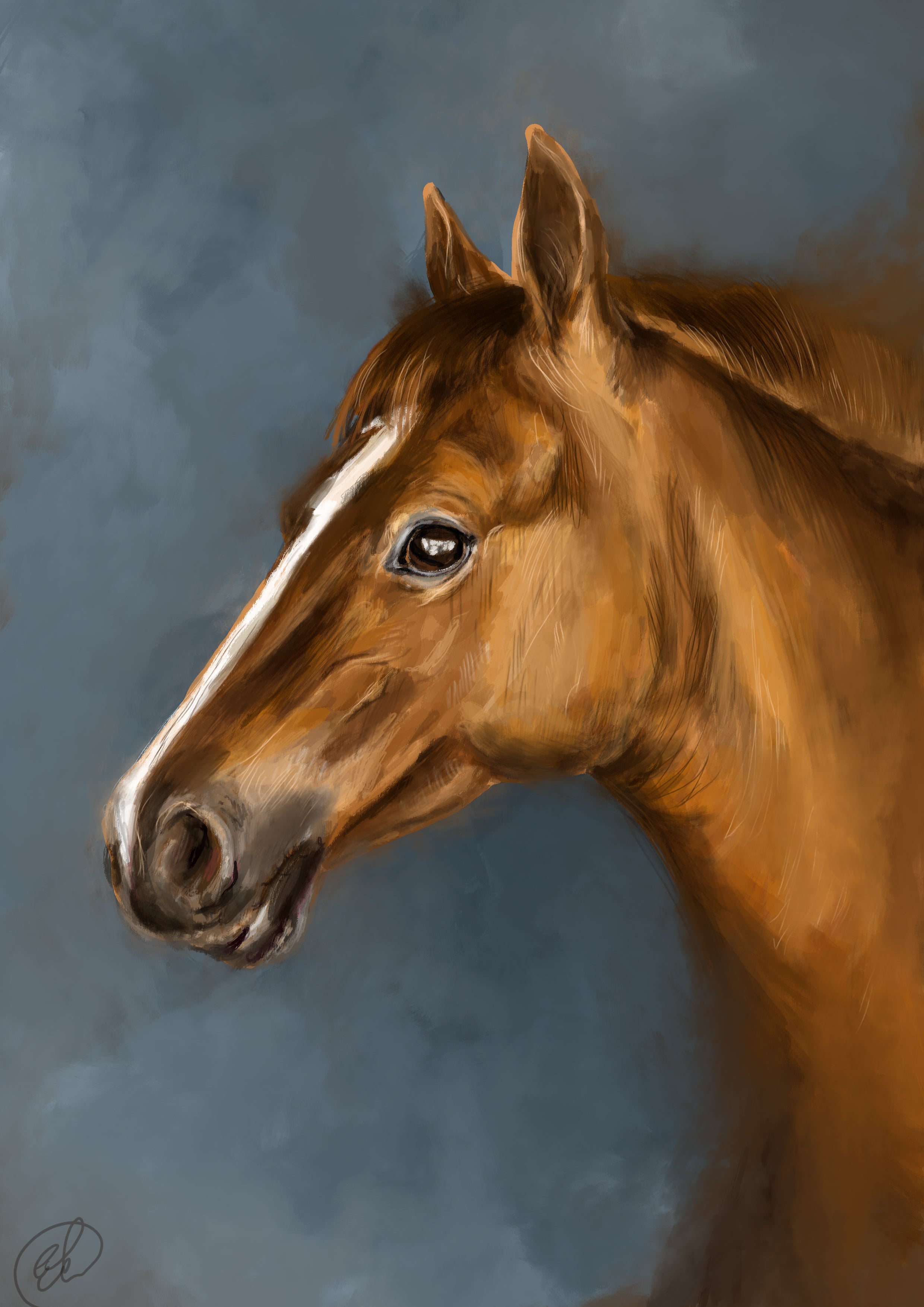 Pet Portrait - Digital Drawing and Printed